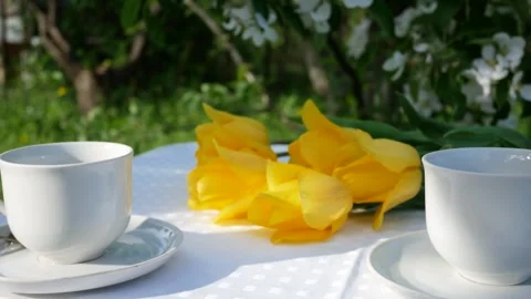 A white cup, plates and a cake on a table in the garden covered with a white Stock Footage 296804407