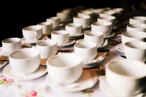 White cups on the table. Many empty cups stand in a row on the table. Prepari Stock Photos