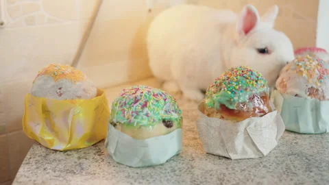 White curious cute rabbit with soft fur nibbles colorful easter cupcakes Stock Footage 330501001
