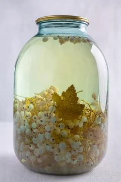 White currant compote, jar on a white background, close-up Stock Photos