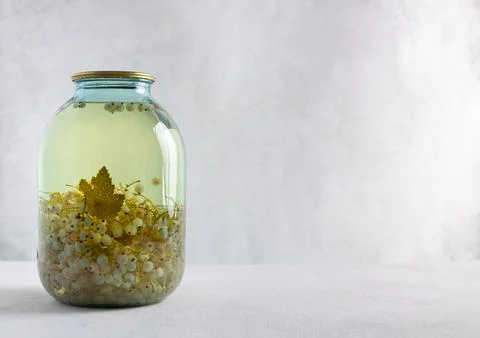 White currant compote, a jar on a white background, a copy space Stock Photos