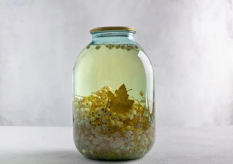 White currant compote, a jar on a white background, a copy space Stock Photos