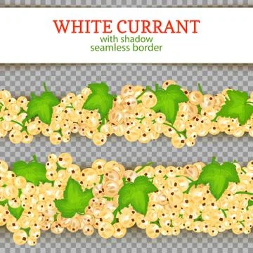 White currant fruit horizontal seamless borders. Vector illustration card Stock Illustration