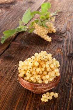 White currant. Stock Photos