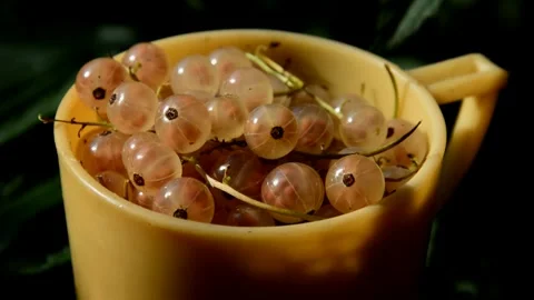White currant in plastic mug Stock Footage 256112851