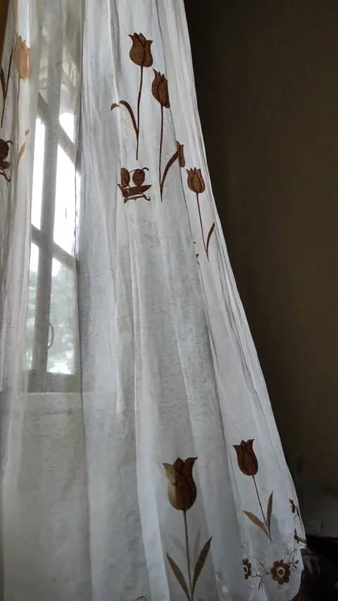 White Curtain Stock Footage 219667103