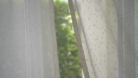 White curtain interior inside home Stock Footage 95016770