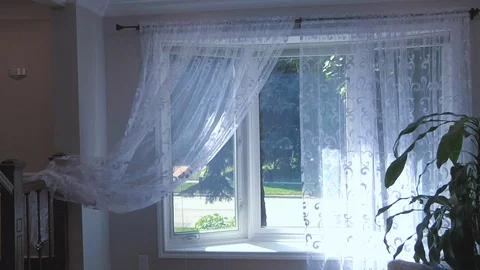 White Curtain Tulle Window Stock Footage 111498145