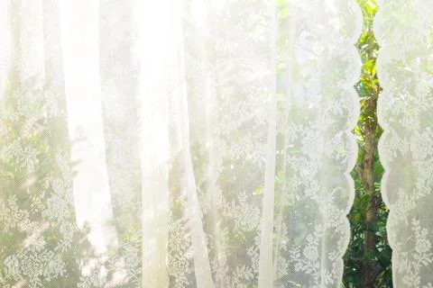 White curtain with window view / tree garden background. Stock Photos