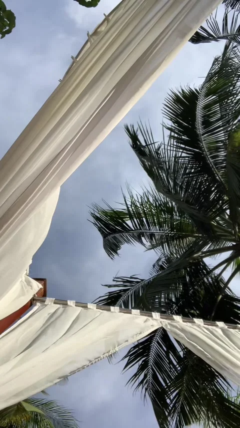 White curtains blowing in wind under palm tree luxury tropical resort HD Stock-Footage 342343985