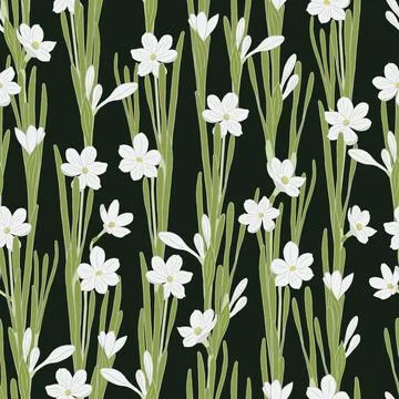 White daffodils seamless vector pattern on black background. Narcissus spring Stock Illustration