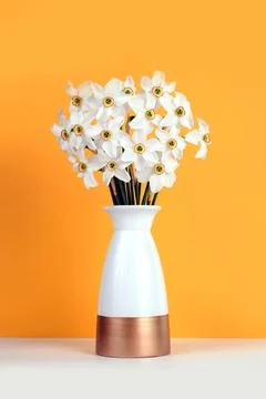 White daffodils in a vase on the table on an orange background, copy space Stock Photos