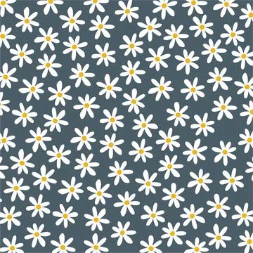 White Daisies Background Vector	 Stock Illustration