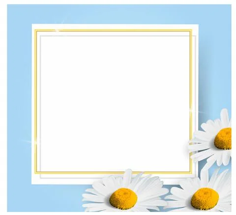 White daisies on a blue background. Stock Illustration