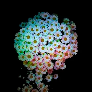 White daisies with multiple colored lights shining on the surface of the patc Stock Photos