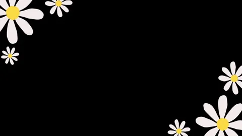 White daisy animation on black background. Stock Footage 335523984