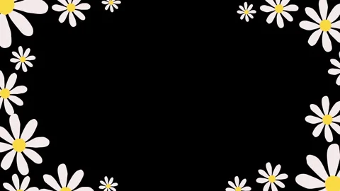 White daisy animation on black background. Stock Footage 335524001