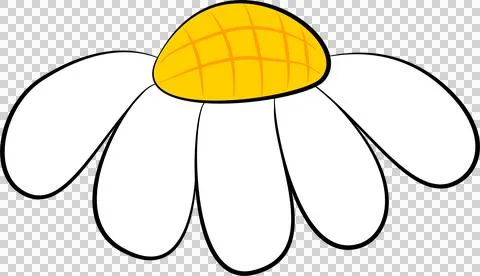 White daisy flower Stock-Illustration