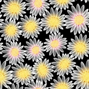 White daisy flower in a seamless pattern Stock Illustration