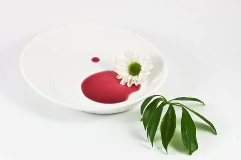 White daisy on the plate Stock Photos