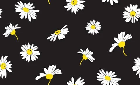 White daisy seamless vector pattern on a black background. Stock Illustration