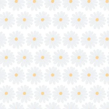White daisy. Seamless vector pattern. Repeating wildflower pattern. Stock Illustration