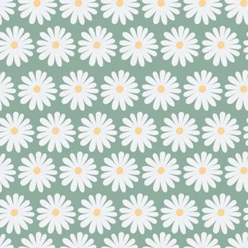 White daisy. Seamless vector pattern. Repeating wildflower pattern. イラスト素材