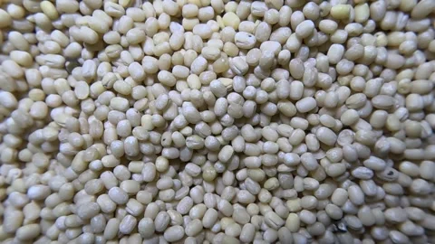 White Dal - Rotating Shot Video stock 283989998