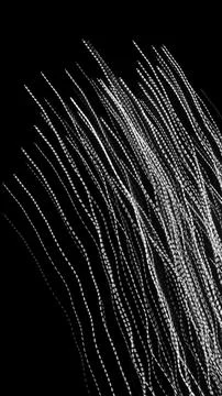 White dashed lines of lights on a black background Stock Illustration