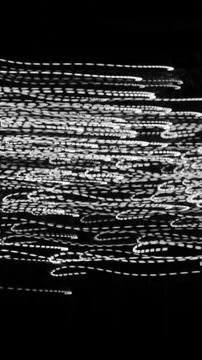 White dashed lines of lights on a black background Stock Photos