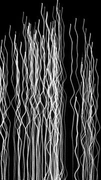 White dashed lines of lights on a black background Foto stock