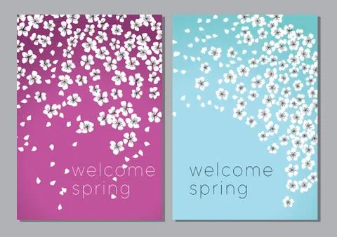 White decorative cherry or apple spring blossom. Almond floral vector illustr Illustrazione stock