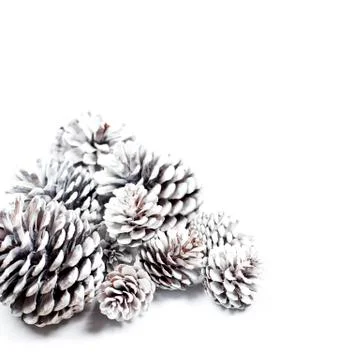 White decorative pine cones. Stock Photos