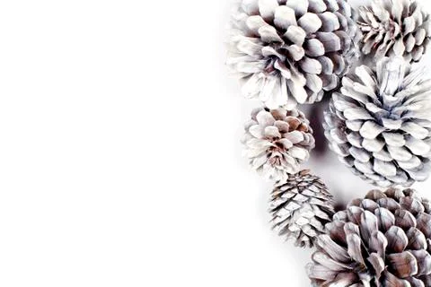 White decorative pine cones. Foto stock