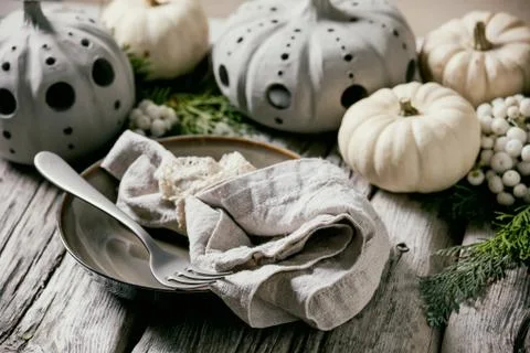 White decorative pumpkins Stock Photos