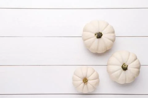 White decorative pumpkins Stock Photos