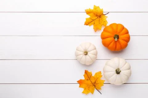 White decorative pumpkins Stock Photos