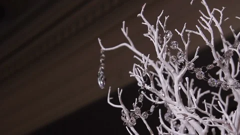 White decorative tree pan down to dinner setting Stock Footage 92000427