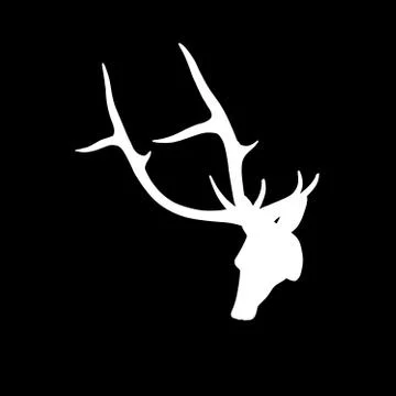 White deer head on dark background Stock Illustration