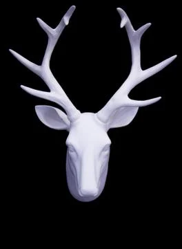 White deer head Stock Photos