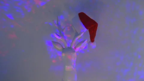 White deer in santa hat under multicolored disco lights, a concept for Stock-Footage 140620933
