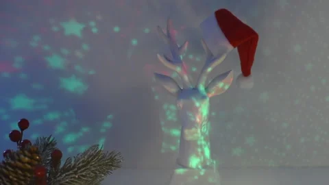 White deer in santa hat under multicolored disco lights, a concept for Stock Footage 140654442