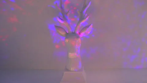 White deer under multicolored disco lights, a concept for celebrating Christmas Stock Footage 140654279