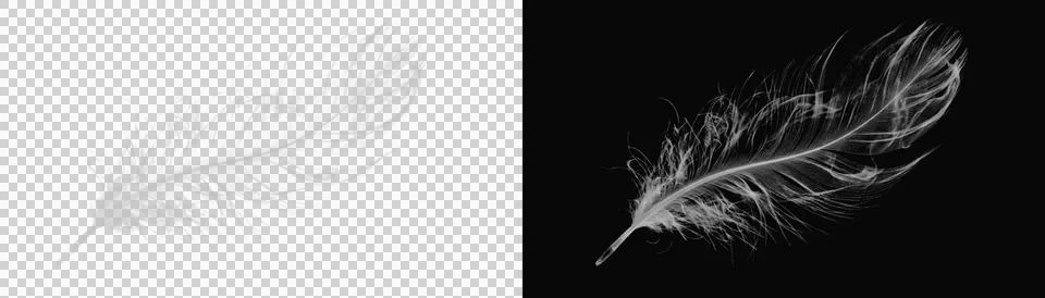 White delicate feather made of smoke on dark background providing elegant Ilustración de archivo
