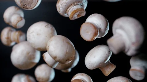 White delicious champignons fly out and hang in the air in slow motion Stock Footage 109155201