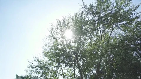 White design wedding ceremony. A bright Sunny day. Stock Footage 76125901