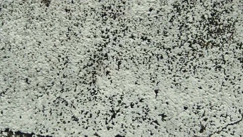 White Dirty Brick Wall Background. Stock Footage 134012194