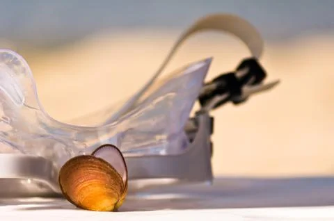 White diving mask and a seashell on Toroni beach, peninsula Sithonia Stock Photos