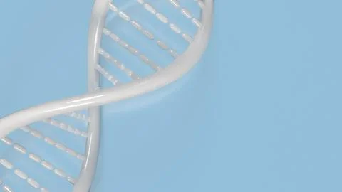 The white dna on blue background for sci or medical concept 3d rendering.. Illustrazione stock