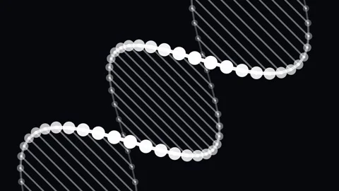White DNA Helix Rotating On Black Background Video stock 341776769